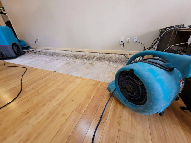 Professional Burst Pipe Water Damage technician working in Dorchester, SC